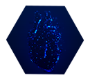 jbo竞博·(电竞)Dota2、LoL、CSGO等电竞赛事竞猜
